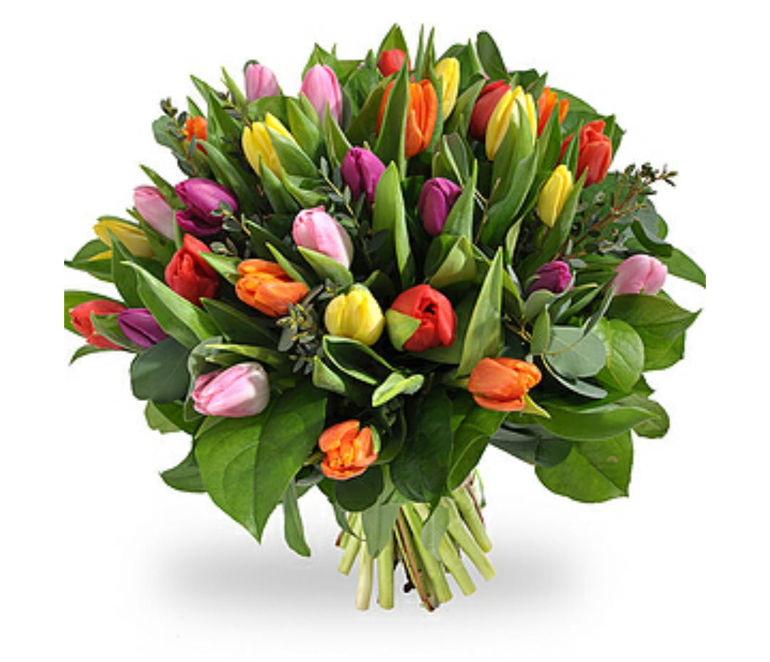Bloemetje laten bezorgen!! Ga naar speelmanbloemen.nl  Voor 15.00u besteld nog dezelfde dag in huis!!