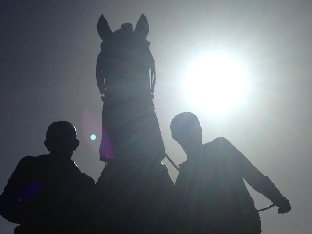 jupiter_P_C's tweet photo. A las 15:30 documental de los @caballosdelvino en la #7RM creado por @FotosSerrano. http://t.co/SHscUBQdv8