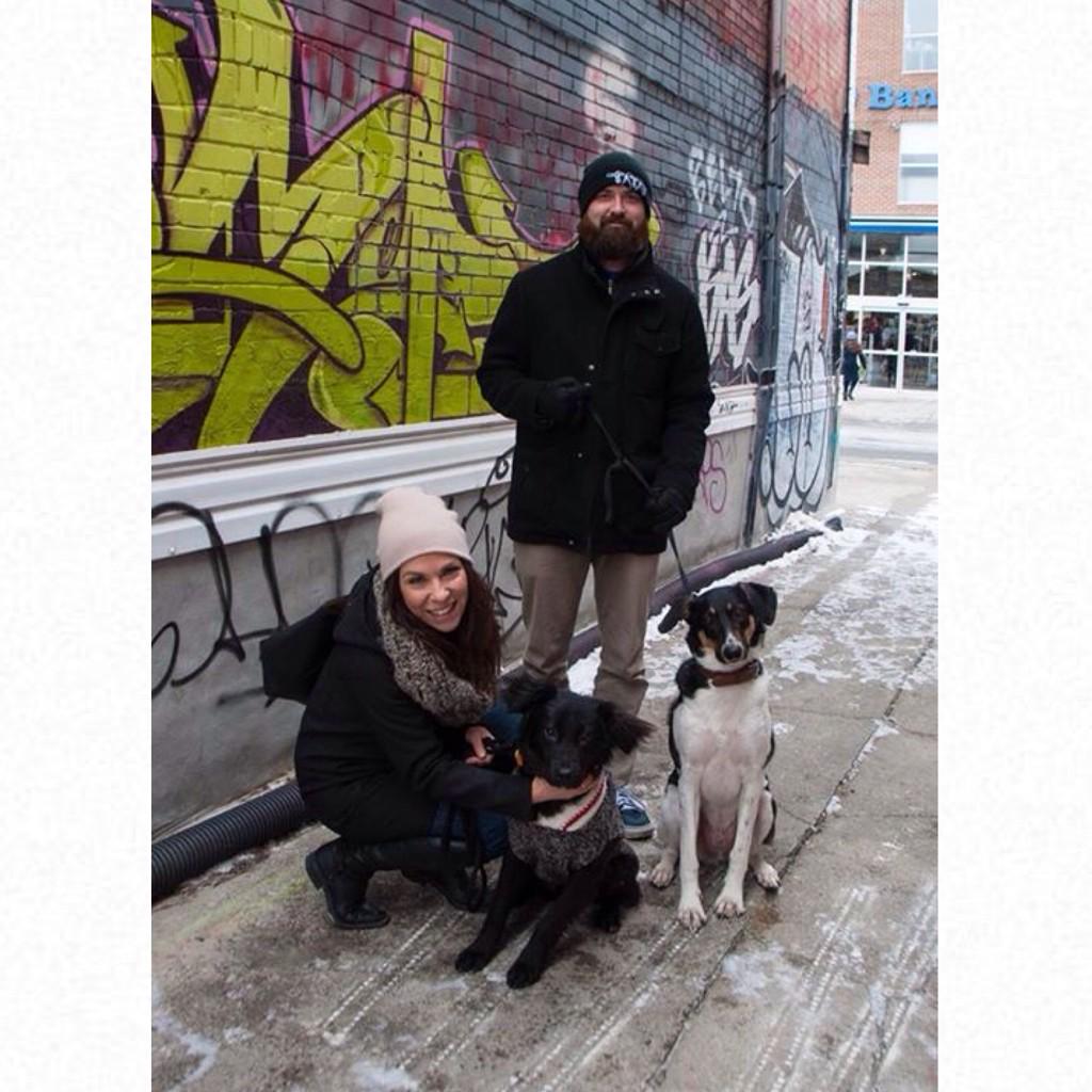 RedemptionDogs's tweet photo. Mandy, Josiah, Sam, & Leonard! https://t.co/kIwzEHrF87 #redemptiondogs #DogsofTwitter #adoptdontshop #WoofWed http://t.co/Ewi6qgATIU