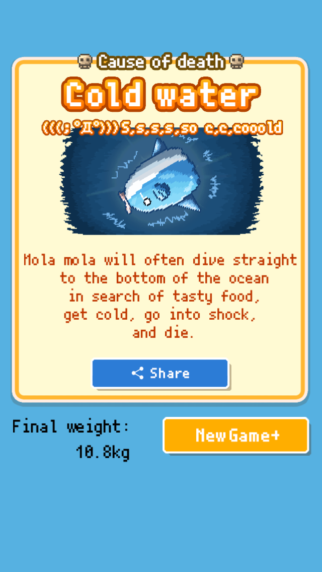Hanekuribo's tweet photo. ＿人人人人人人＿
＞Sudden death＜
￣ＹＹＹＹＹＹ￣
Cause:[Cold water]
10.8kg #MolaMola http://t.co/yGEeeFGh1S http://t.co/2Y5BZOFnFa