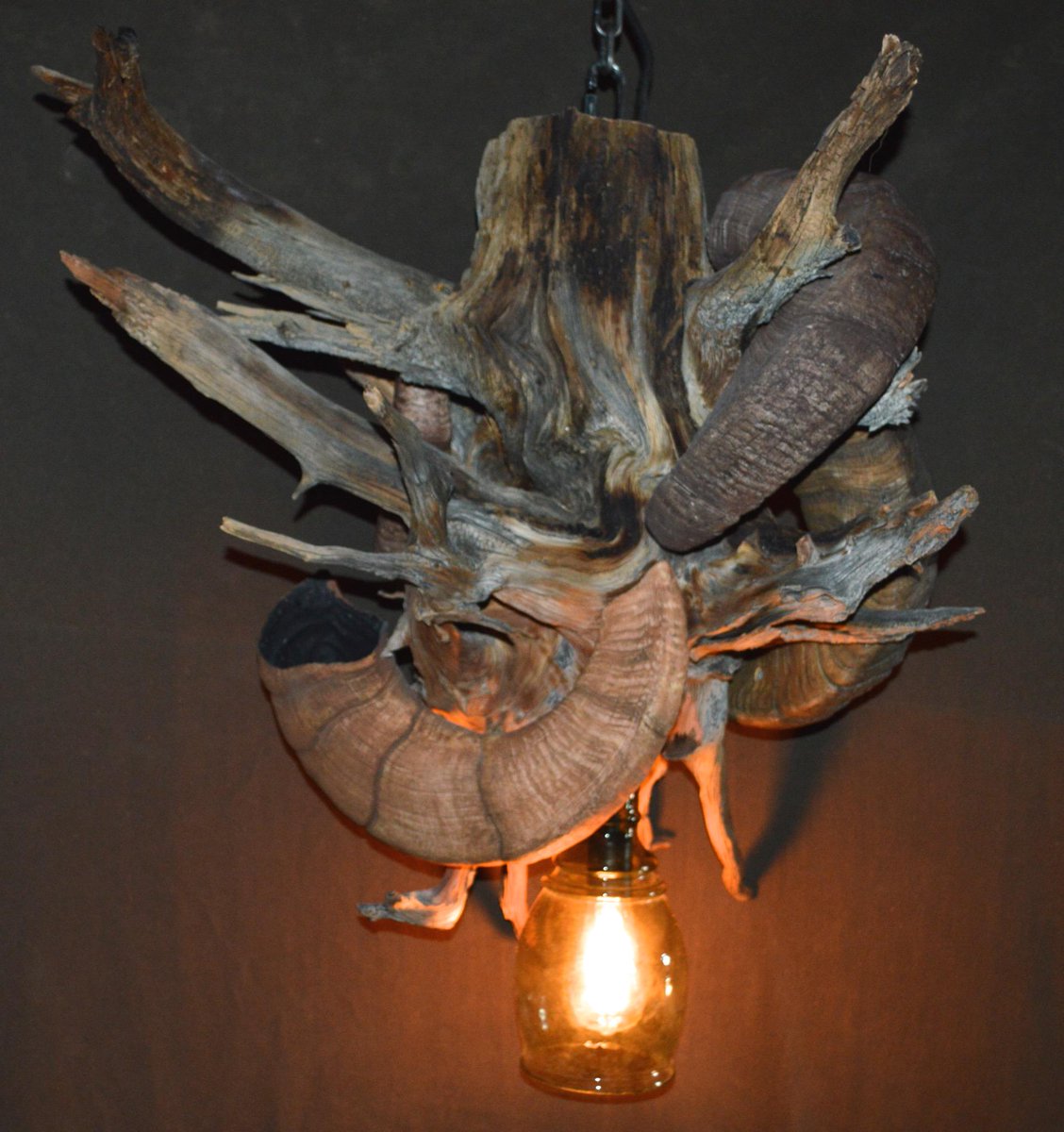 WyoBCDecor's tweet photo. This is our Mini Chandelier.  
#sheephornchandeliers #forsale #wyobackcountrydecor http://t.co/ExRcmh1aH3