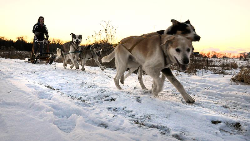 Embedded image permalink