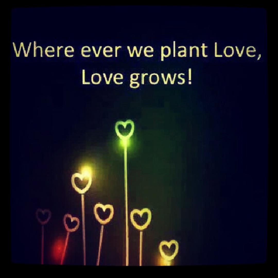 Chef__Rodriguez's tweet image. LOVE alone has been and will always BE ENOUGH!♥