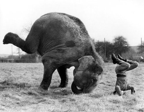 ThompsonsGym's tweet photo. Teamwork makes the dream work. http://t.co/q50qhWXy8u