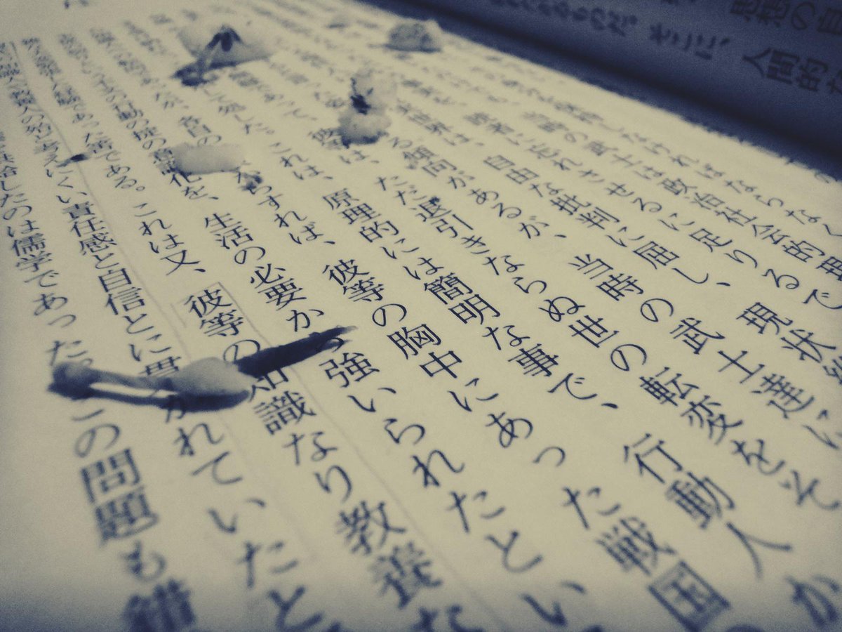 葵夏葉 على تويتر 文字の上の文字を消していた 文字の下は消えないのに 上の付け足された文字は消えてしまう 印刷された文字と手描きの文字 の違いは これほど大きくて些細なことなのかな 残る文字と残らない文字 この先の文字たちに 消しゴムを片手に問いかける
