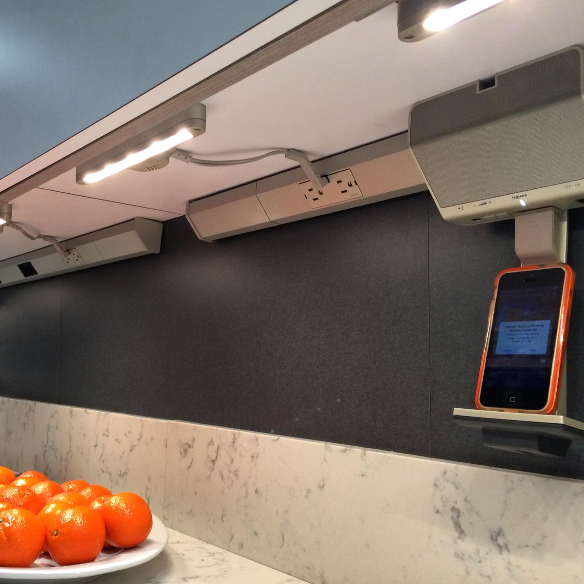 MetropolisMag's tweet photo. @LegrandNA receives the first #MetropolisLikes award at #KBIS2015 for the Adorne Under-Cabinet lighting system #3MAM http://t.co/aIWexNMbTl