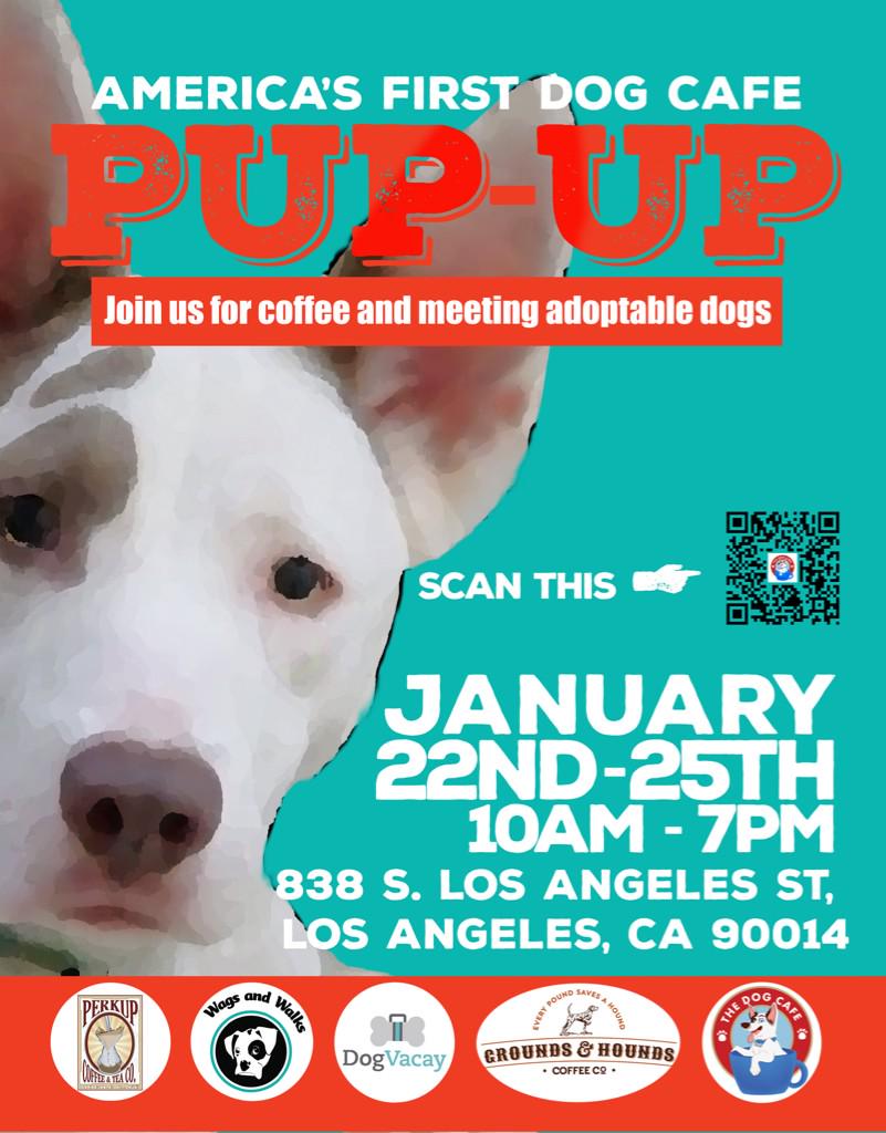 DogVacay's tweet image. Join us for America’s 1st @TheDogCafe_LA ❤️🐶💙 @DogVacay_LA  @GroundsandHoun1 &amp;amp; @wagsnwalks bit.ly/17ZEHHi