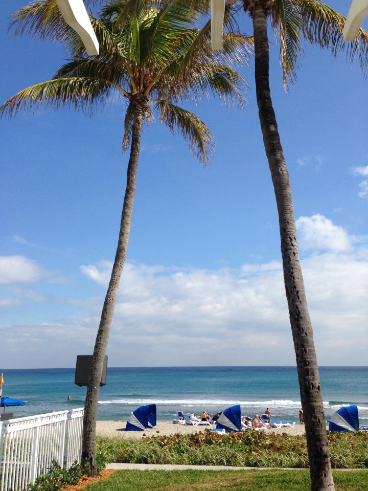 treetweets's tweet photo. Hidden gem for #brunch &amp; fab #beach views @DelraySands! Thanks for an amazing #foodie experience on Sunday! http://t.co/yfsZuSYliw