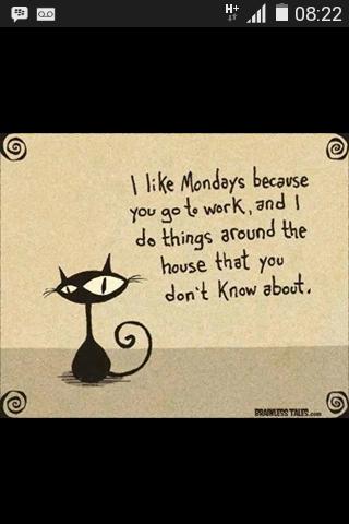 kelliepixie1's tweet image. Hmmm