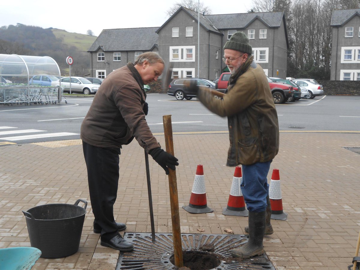 Debcoopmemb's tweet photo. Pear tree planting @CooperativeFood #machynlleth today, #goodgrowing staff &amp; Co-op Membership @CoopCymruWales http://t.co/EJSQ9Bhy1a
