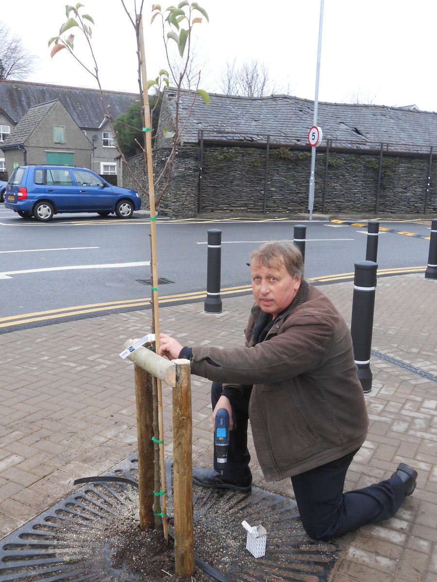 Debcoopmemb's tweet photo. Pear tree planting @CooperativeFood #machynlleth today, #goodgrowing staff &amp; Co-op Membership @CoopCymruWales http://t.co/EJSQ9Bhy1a