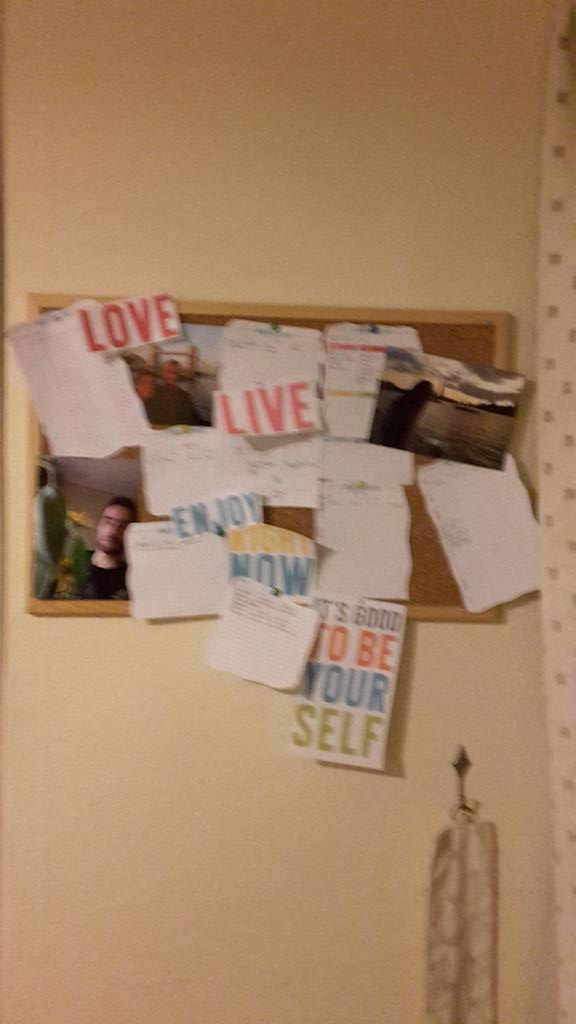 Alonso Zanela M tweet media