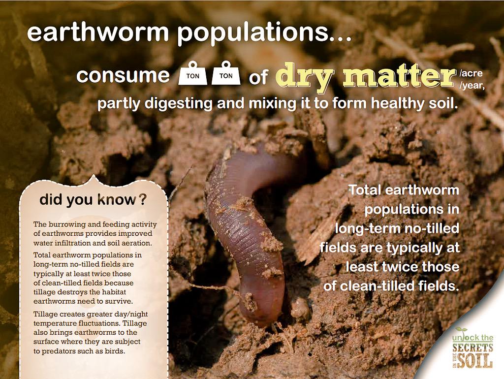 USDA_NRCS's tweet photo. The worm is mightier than the plow. http://t.co/pEHIAopQdt http://t.co/18dTVDsoeU