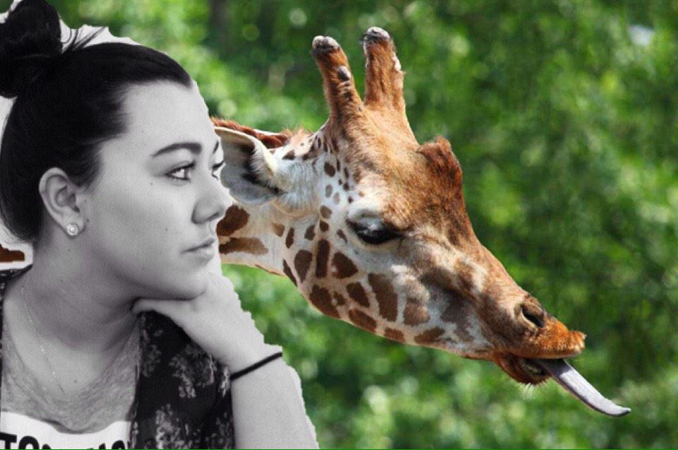 GiraffeGina's tweet photo. @Maxxxx06 we look so good together.😎 http://t.co/U027zZ1l4h
