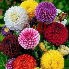 aazz34538gmail1's tweet photo. @alkasschannel http://t.co/1cmCVN3UCx