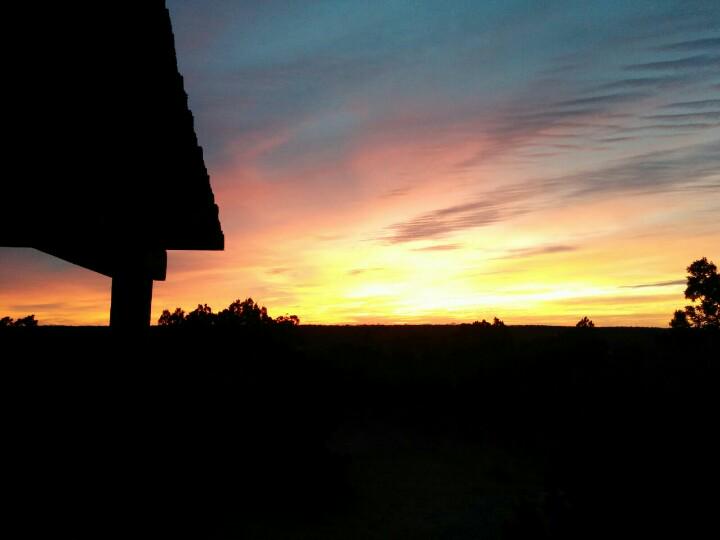 thesportracking's tweet photo. #Sportracking is tracking Bulls today at Amarillo Texas and Cairo @viavigo http://t.co/tkvGVyn6bb