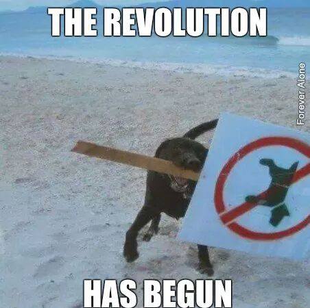 gaboncito's tweet photo. jaaaaaaaaaaaaaaaa :)  La revolución ya está !!! http://t.co/i9sMUHM3II