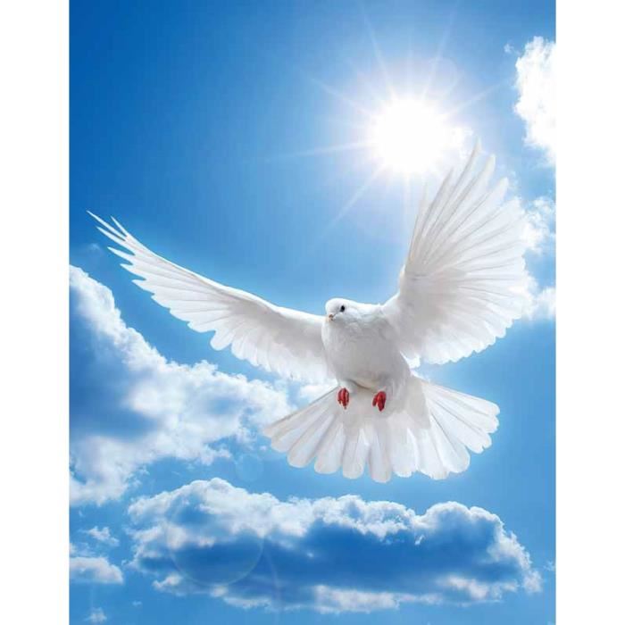 leila_78's tweet photo. Guerre et paix : que préconise l’Islam ? http://t.co/UOrERiZR0d #JaimeMuhammad http://t.co/2lHgKxwcmz