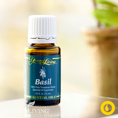 essentialmitch's tweet photo. We used #Basilessentialoil #Melrose and #Lavender on a #doubleearinfection on our 3yr old and it was gone in 24 hours http://t.co/UmF1bqEeTX