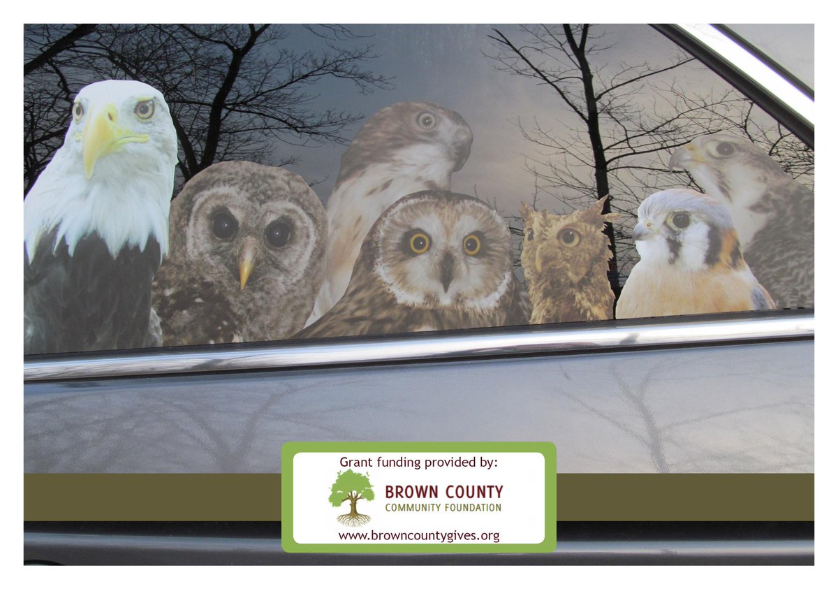 BCCFIN's tweet photo. We awarded grant funding to the Indiana Raptor Center for the purchase of a van. See the van: http://t.co/ojMclWOSwz http://t.co/Jegn8MQwi4