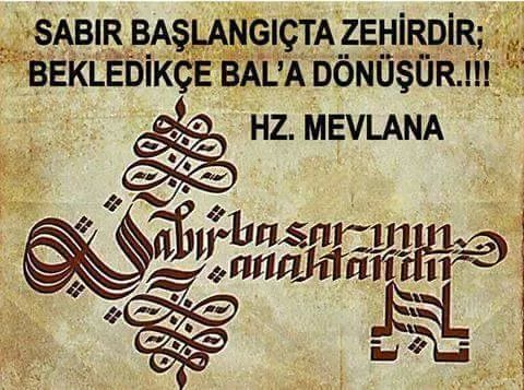 ali haydar (@alihaydar1978) on Twitter photo 