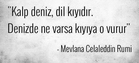 ali haydar (@alihaydar1978) on Twitter photo 