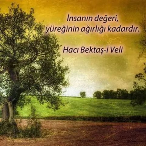 ali haydar (@alihaydar1978) on Twitter photo 