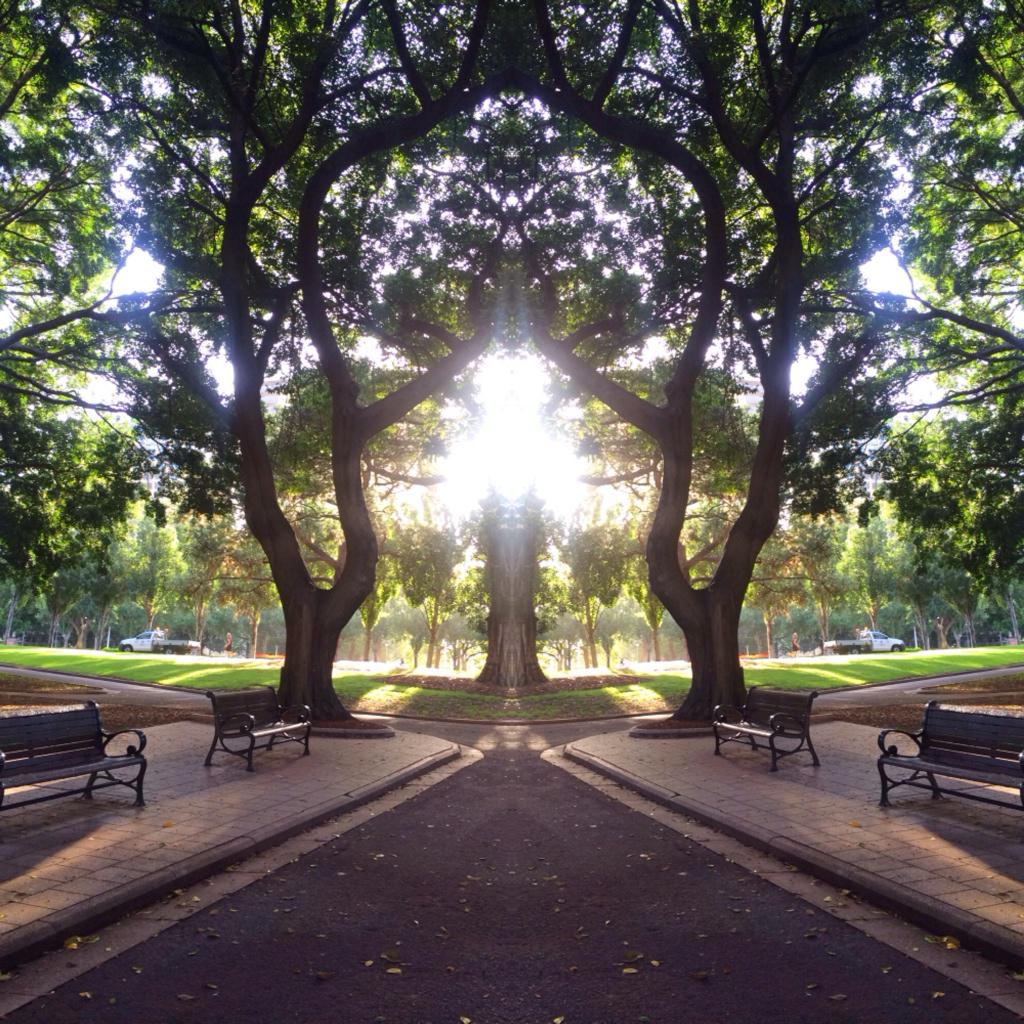 Shannon_TB's tweet photo. Sun drenched mornings 💛🌞✨
#summermornings #hydepark #sydney http://t.co/huAfQ8teIC