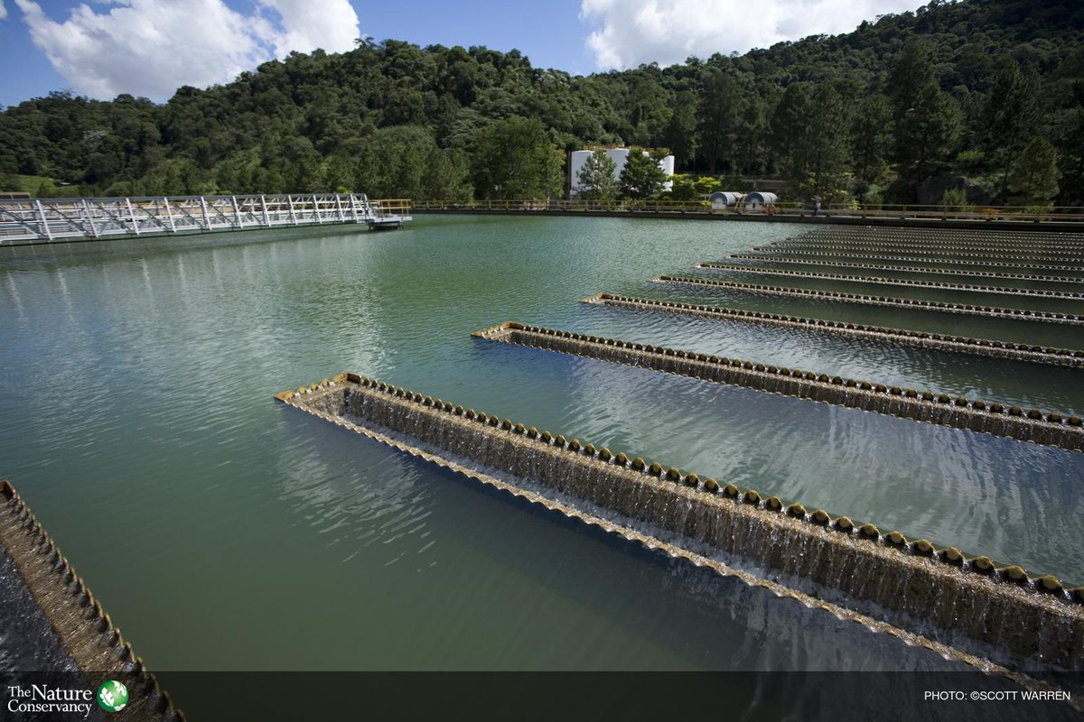 The Nature Conservancy tweet media