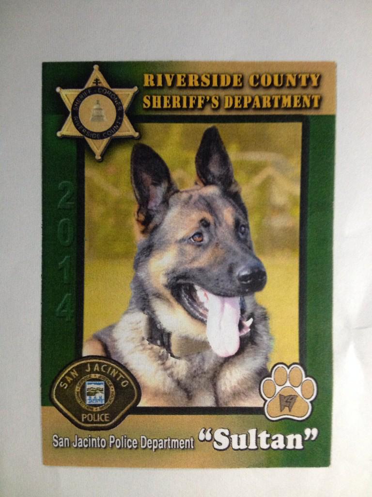 Very sorry to hear of the line of duty death of <a href="/SanJacintoPD/">San Jacinto Police Department</a>  #K9 Sultan.