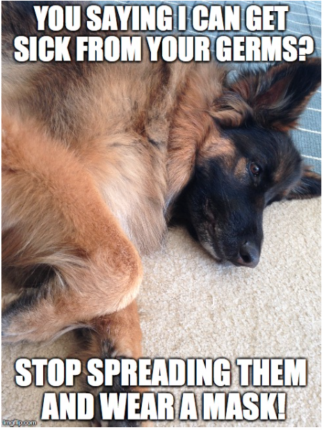 kpjohnson2015's tweet photo. @KQEDedspace wear a mask to not spread germs! do want you can to help! also, check out my meme! #DoNowSneeze #SMed7 http://t.co/wKUaNQvAoG