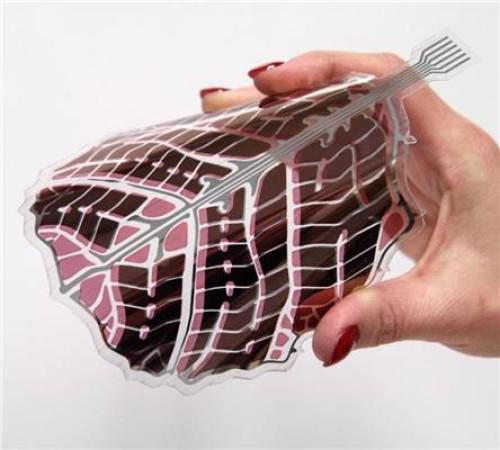 dtdchange's tweet photo. Mass production of flexible, decorative, organic solar panels for inside or out
http://t.co/ysBiKKoO1i http://t.co/21RhLlWxaN