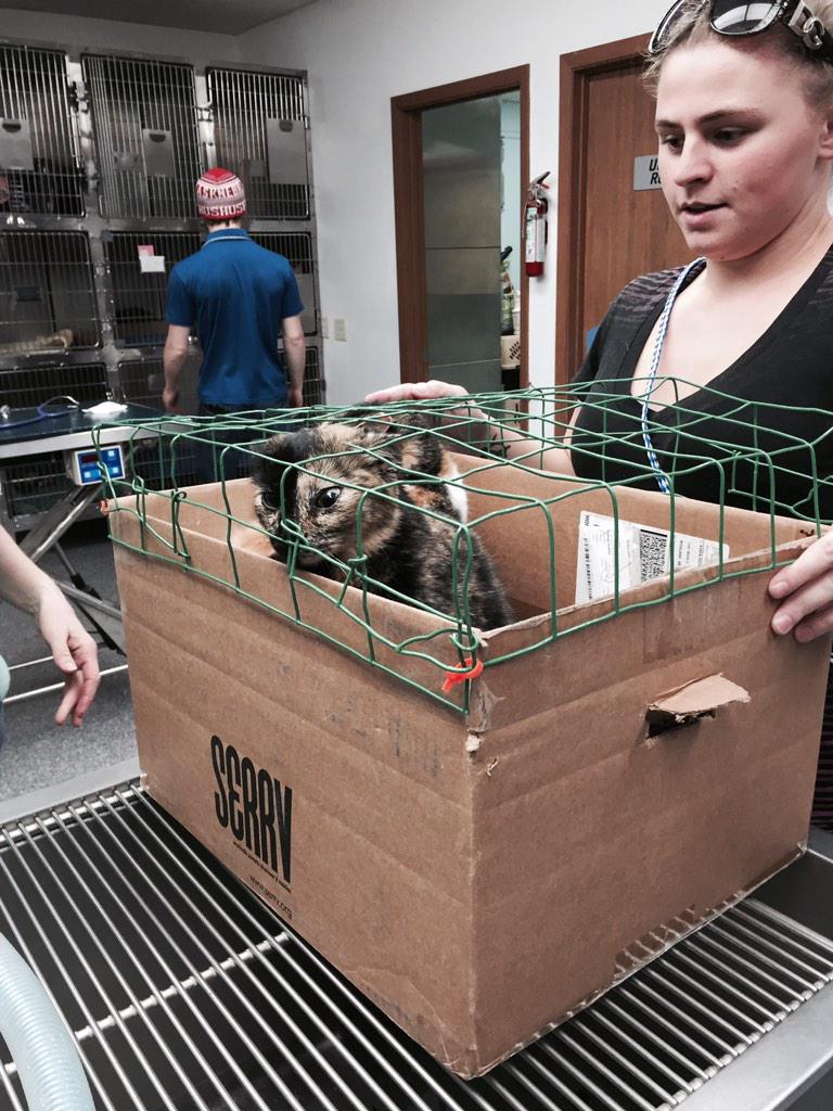 AlexWeselya's tweet photo. @GitRDoneLarry seen this at my moms work yesterday #lol#redneckcatcarrier http://t.co/vYbBvFCHaS