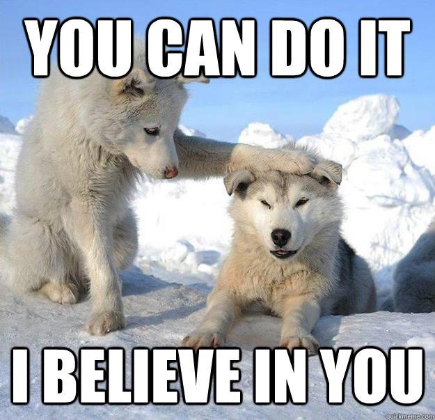 Image result for motivational puppies
