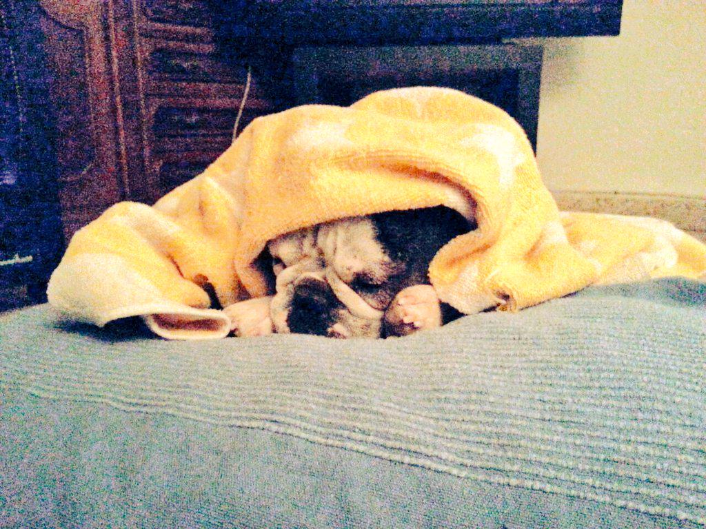 veroYeico's tweet photo. Tengo sueño y frio, no molestar!! Gracias ;) http://t.co/fGINCavT61