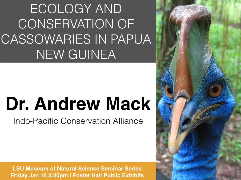 LSUMNS_seminar's tweet photo. This week at @LSU_MNS seminar series: Dr. Andrew Mack! http://t.co/cZHh8dWNiF