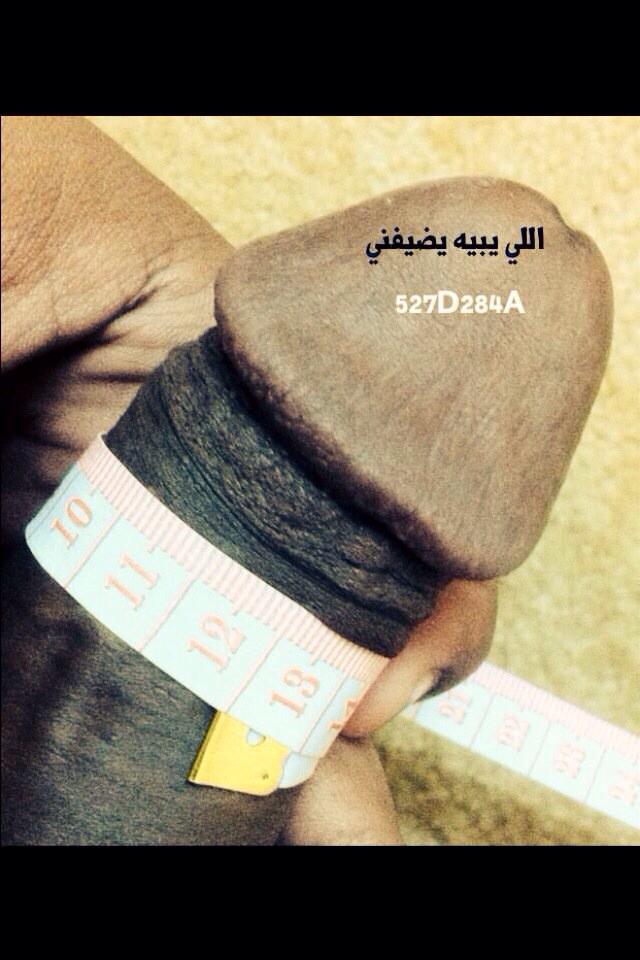 HamadHamad6022's tweet photo. بعد اسبوع مسافر صوب #القصيم
ال #ممحونه او #ممحون يبي زب اسود
يضيفني ونتفاهم على التفاصيل http://t.co/3j5sFu8BYP