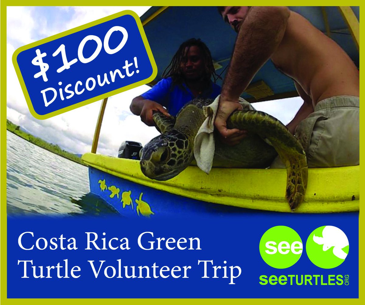 DiegoFCevallos's tweet image. #SEEturtles: $100 discount on our Osa Peninsula Green Turtle Research Trip if you sign u...