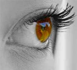 invasivecode's tweet image. Quality iOS Apps, are created with sound Human Interface Design. invasivecode.com/design.html #deference #depth #clarity