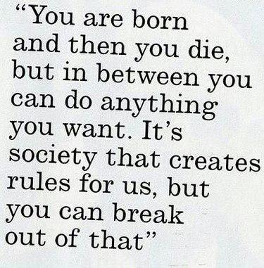 alex_stepanez's tweet image. ¤