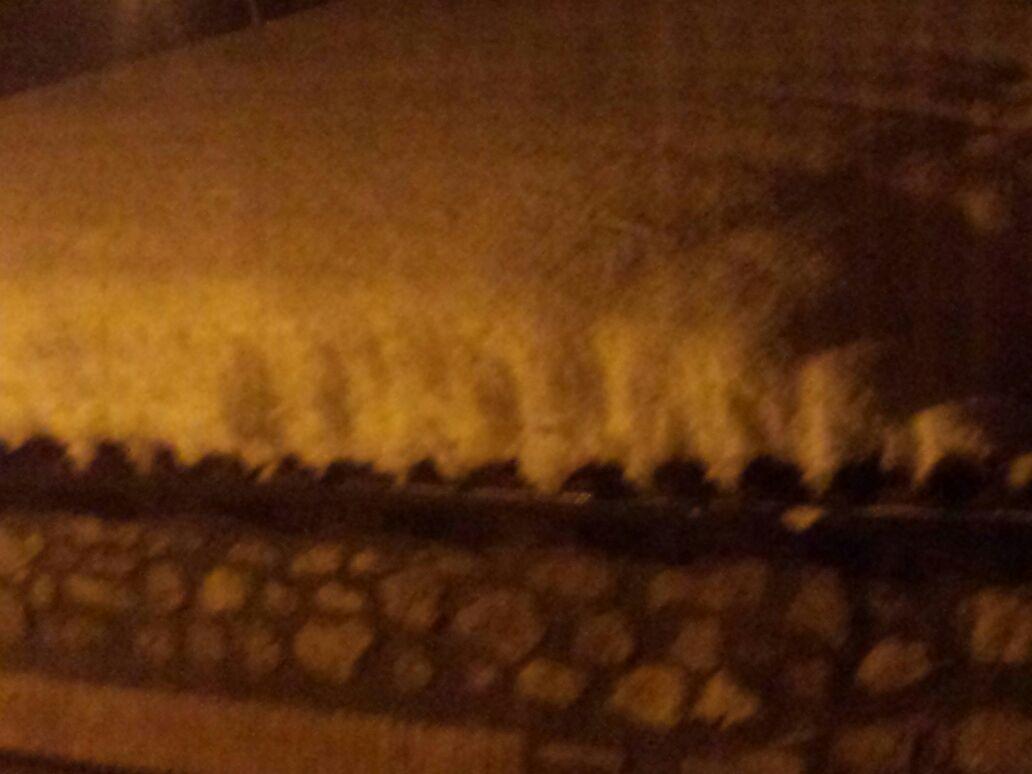 Eva_Alonso_'s tweet photo. Eso es una buena nevada!!! #Boñar #nevada #noLeonlatelinadenievequehay #nevadascomolasdeantes #bolasdenieve #aprender http://t.co/VtnGjgdxKs