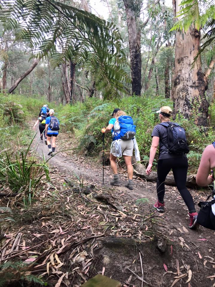 larapintawalk's tweet photo. In prep for 11 solid days on the #larapintatrail, #Melbourne crew #train tough! Day 1: 28km &amp; Day 2: 30km. #scenic http://t.co/WLDuQ7Ctua