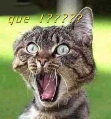 NurryPally's tweet photo. Como??? Ahh pero q tengo un examen el viernes?? Sii?? Y de q?????? 😭😭 nada más q añadir... http://t.co/x3JpVIRdMn