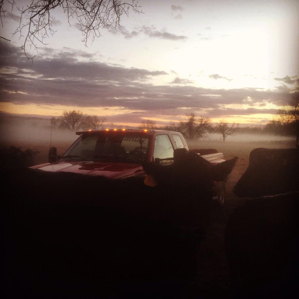 JerseyCarter71's tweet photo. #workinclasswednesday the CATTLEMAN'S CADILIAC hauling feed to my angus ladies http://t.co/PmizcRkzJn