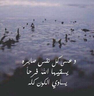 مالك الذيابي tweet media