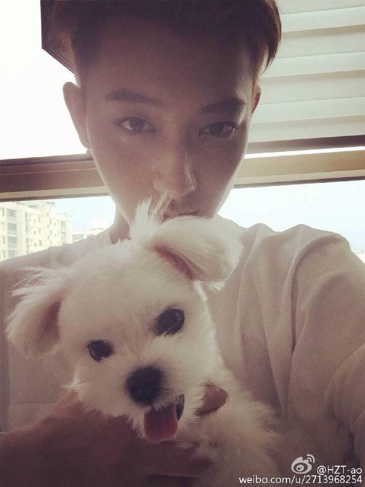 Exofacts_'s tweet photo. 150122 Tao's weibo update "何以笙箫默" ภาพยนตร์เรื่องแรกของผม ครั้งแรกที่ได้ทำเป็นอะไรที่สนุกมากครับ~ (ต่อ) http://t.co/o6ej7seUzj