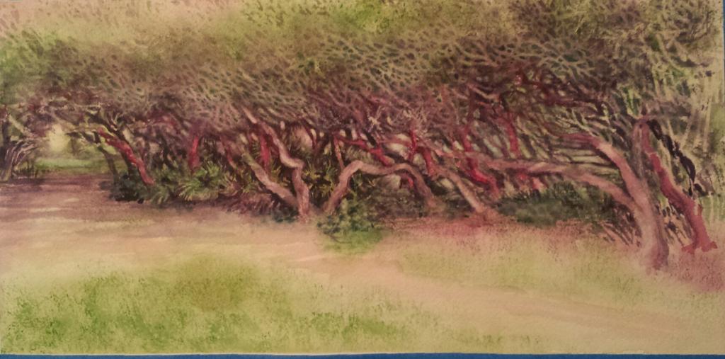 Cynthia Pierson Art tweet media