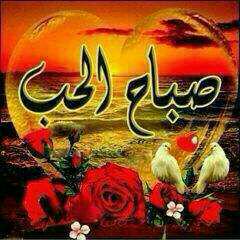 aaookaa's tweet photo. http://t.co/NLDfcpHxwK