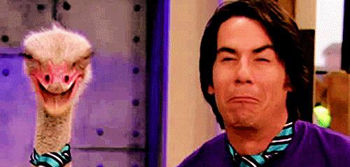 HAPPY BIRTHDAY JERRY TRAINOR HOPEFULLY NO ONE WILL EAT YOUR ENCHILADA TODAY 