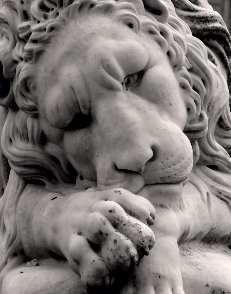 Lion hearts are heavy tonight. Praying for comfort of Emmy's family. <a href="/moorelion_fb/">Moore Lion Football</a> <a href="/MHSTheJungle/">The Jungle</a> <a href="/moorelionsstuco/">MHS StuCo</a>